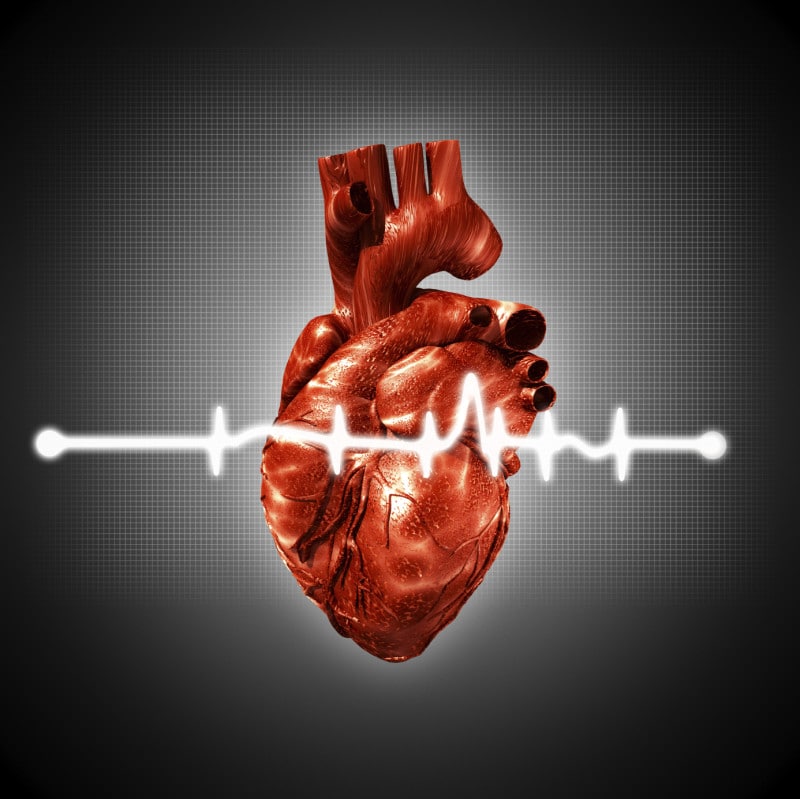 What Causes Heart Disease? - South Denver Cardiology