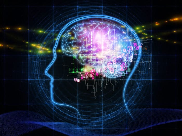 Keeping Your Brain in Shape - South Denver Cardiology
