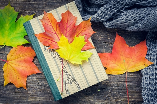 fall reads